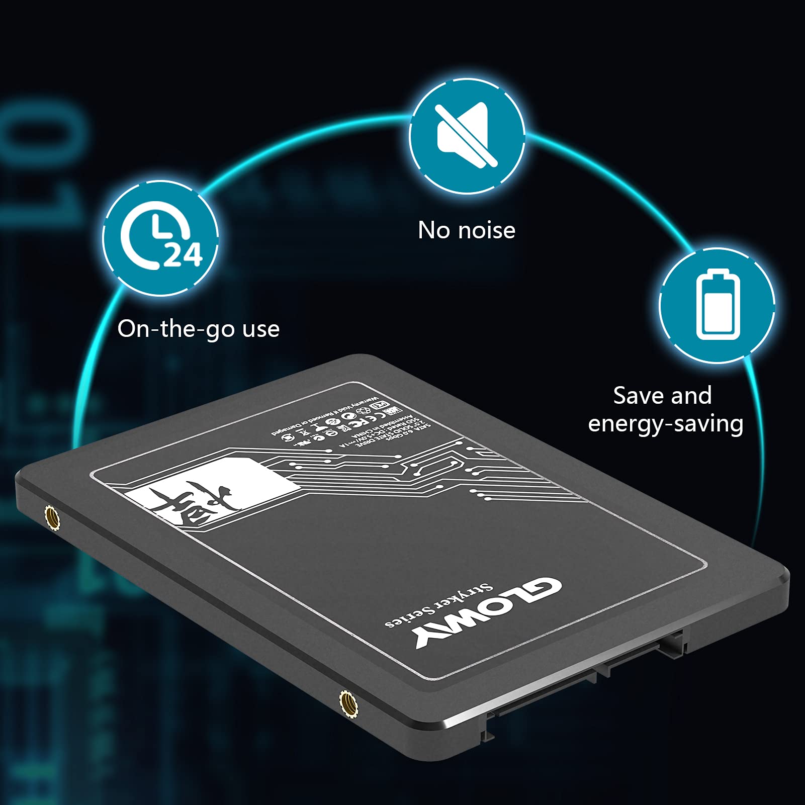 Amazon.com: GLOWAY: SSD